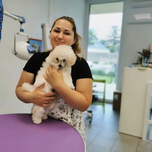 Kata Szokoli, Hundefriseurin bei Nono Hundesalon, mit einem Hund